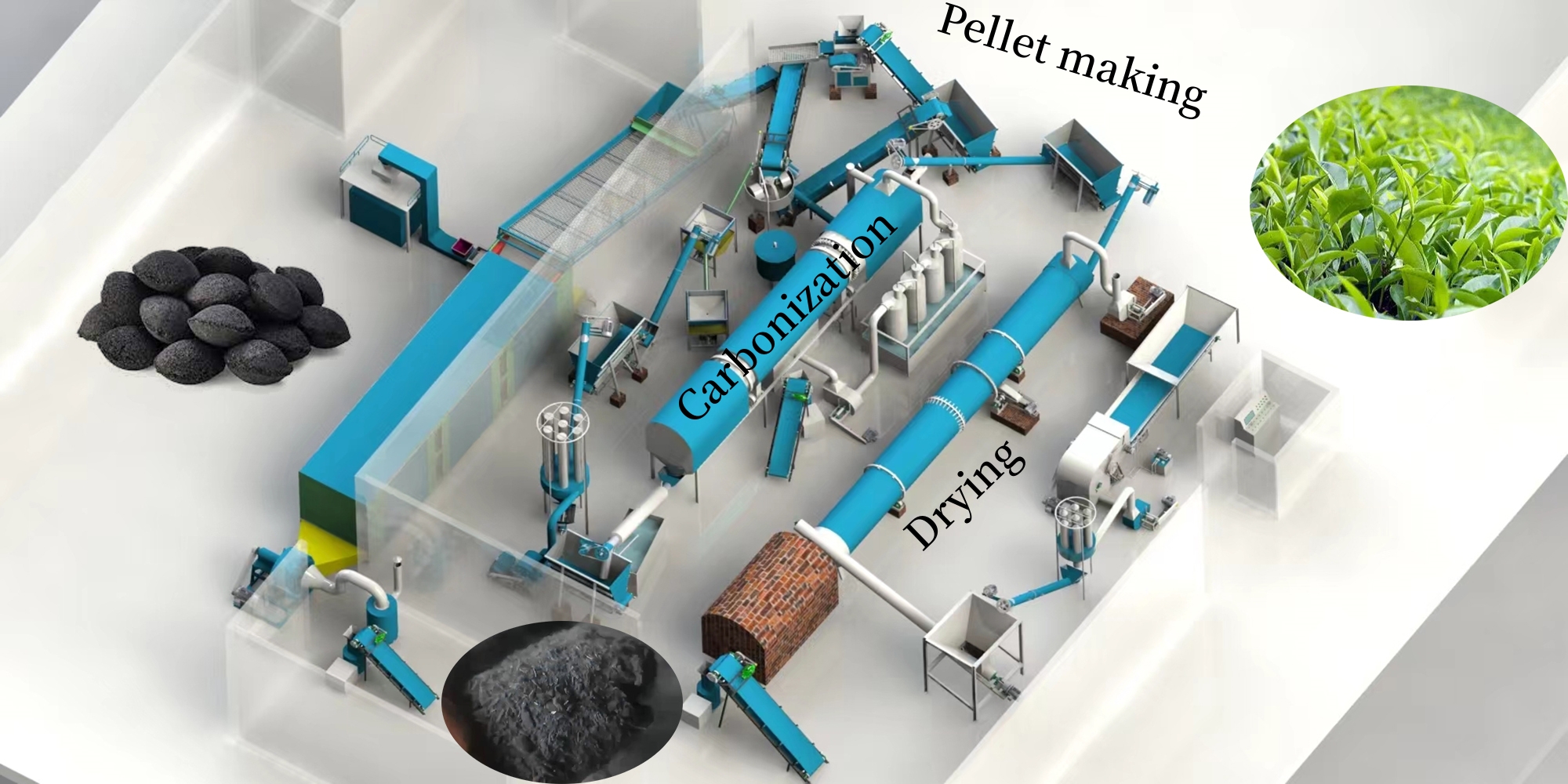 Biomass to charcoal briquette process